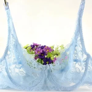 Reggiseno in pizzo classico